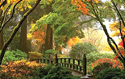 日本庭園
